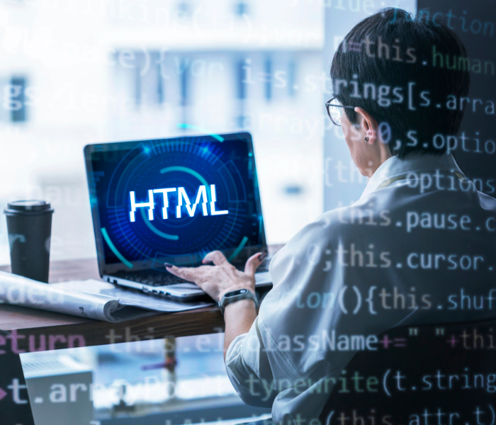 Web Designing Training