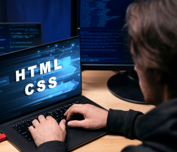 Web Development Projects